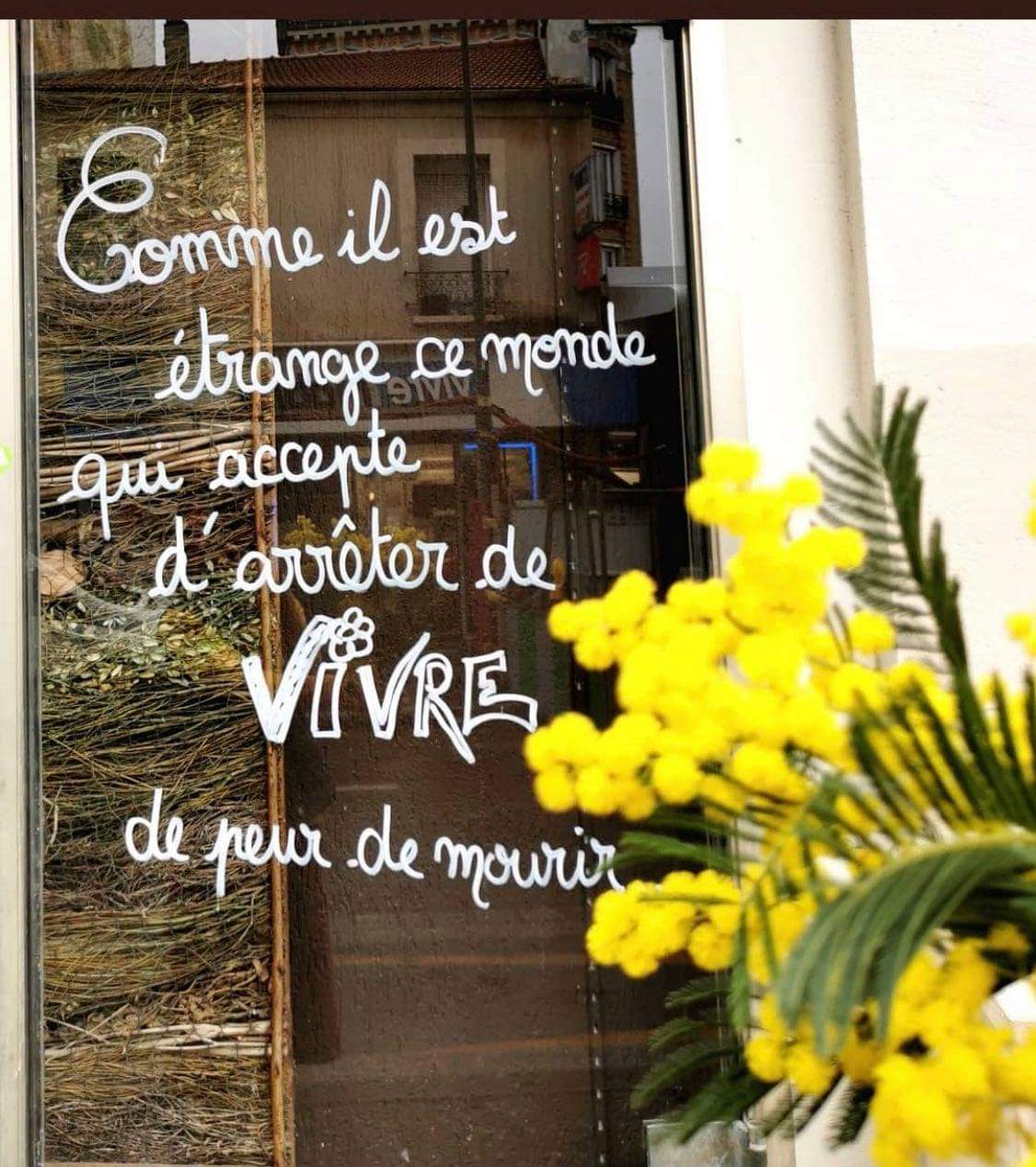 vitrine fleuriste paris.jpg