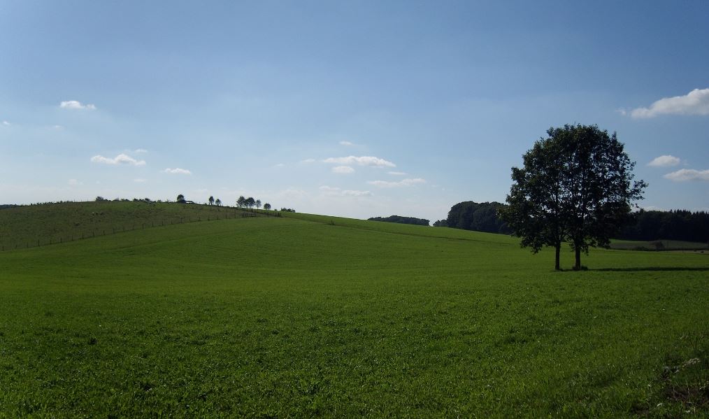 campagne.JPG