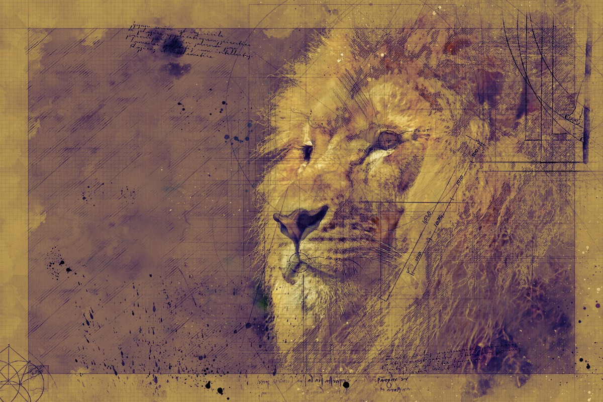 Lion_redim.jpg
