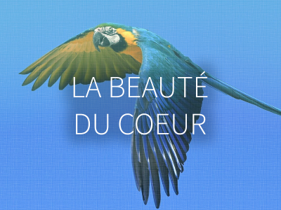 La beauté du coeur.png