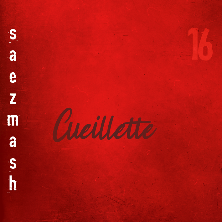 pochette saezmash cueillette r.png