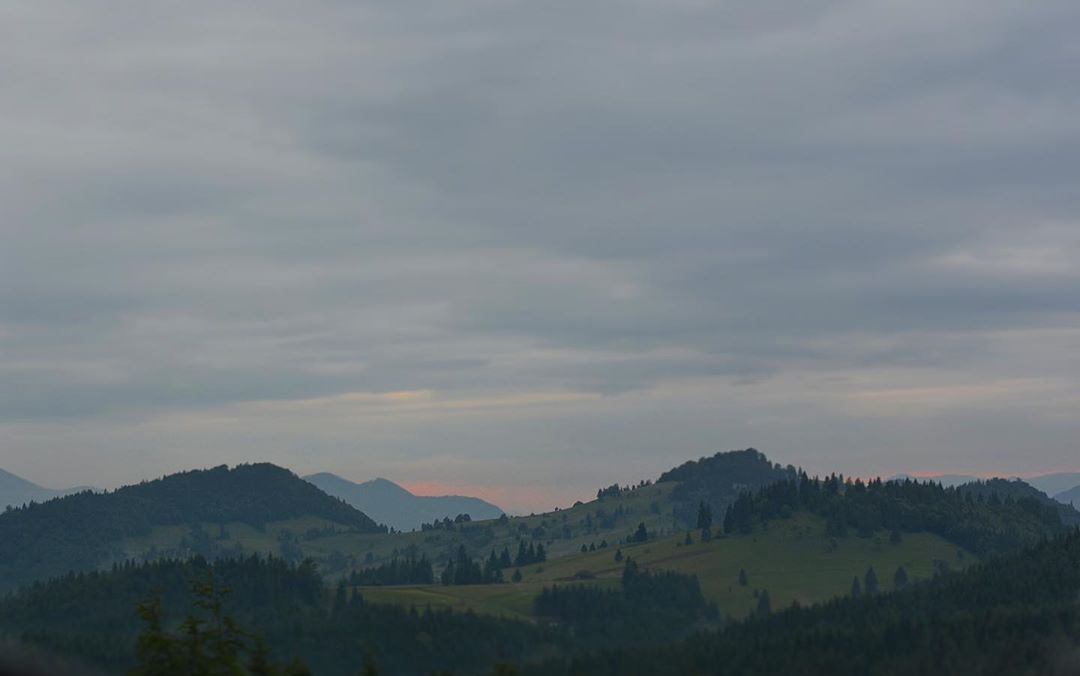 IMG_20200423_072939.png