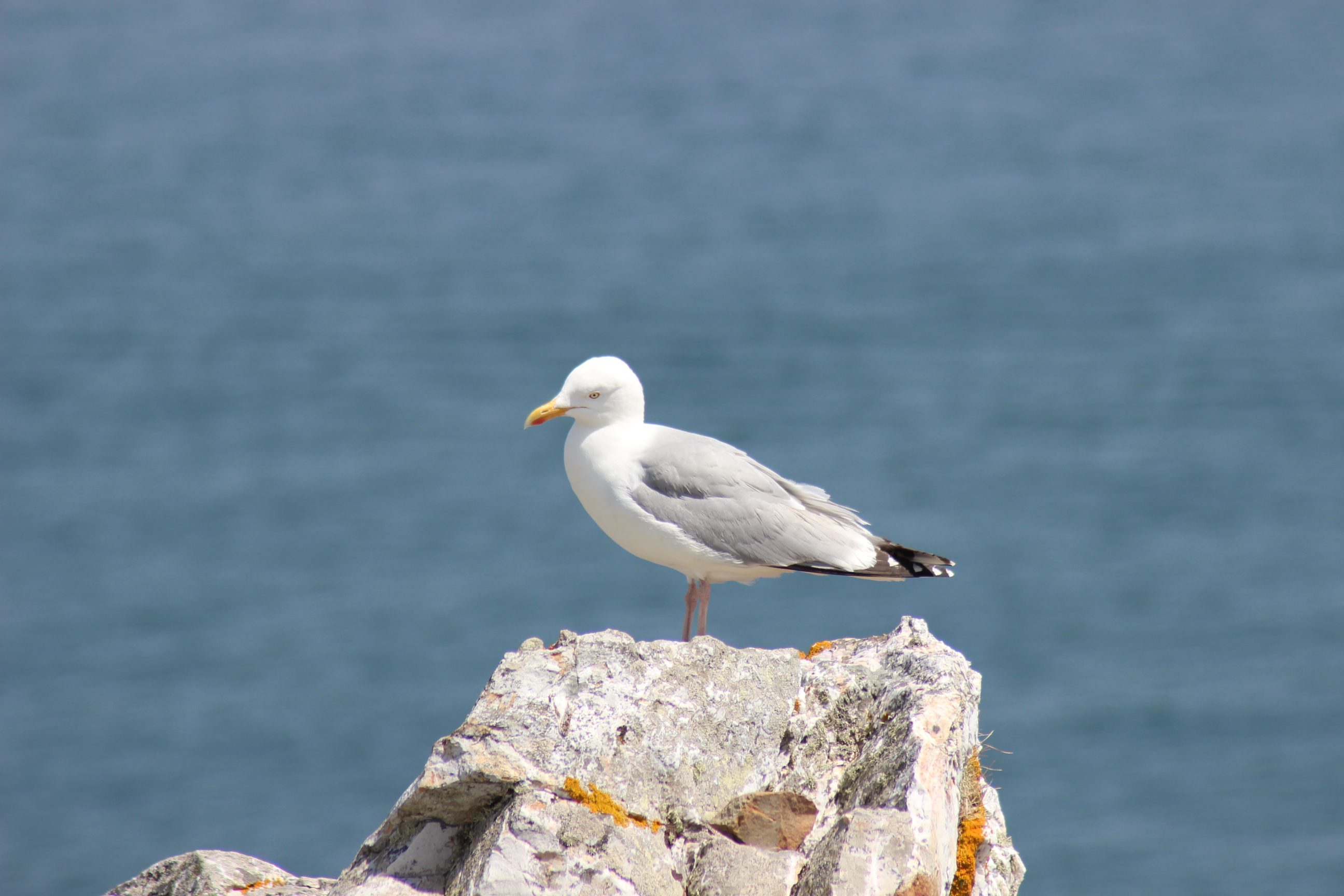 IMG_8983.JPG