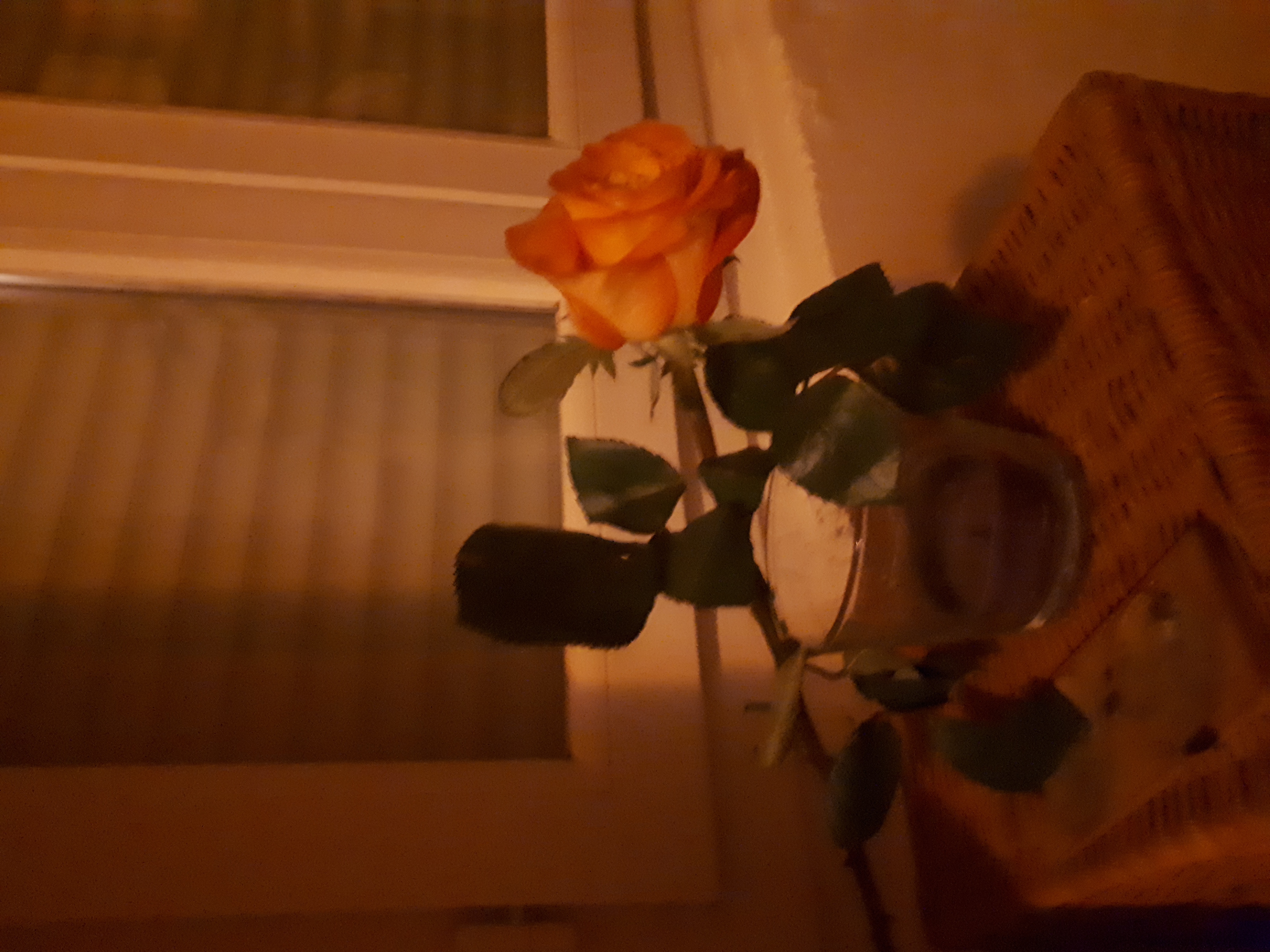 20201008_221545.jpg