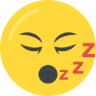 Sleeping :sleeping1: